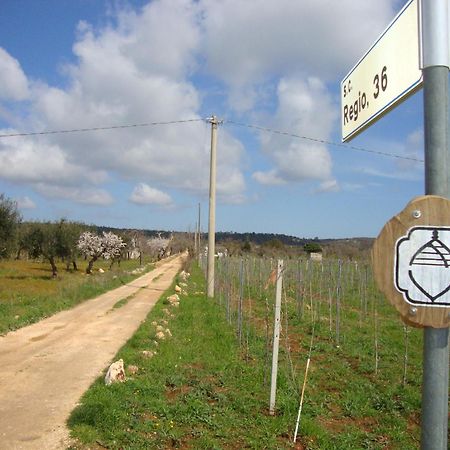 Fontana Vecchia B&B Castellana Grotte Zewnętrze zdjęcie